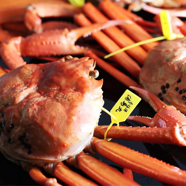 香住カニ紅ズワイ